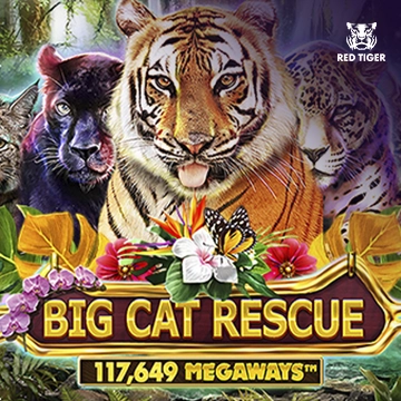 Redtiger : Big Cat Rescue Megaways - HASEAGAMING