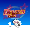 Deuces Wild 1 Hand - HASEAGAMING