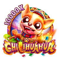 Facai : CHILIHUAHUA - HASEAGAMING
