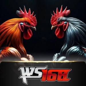 Ws168 Sabung - HASEAGAMING