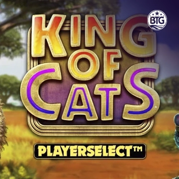Bigtime : King of Cats - HASEAGAMING