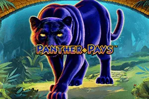 Playtech : Panther Pays - HASEAGAMING