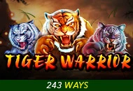 Spadegaming : Tiger Warrior - HASEAGAMING