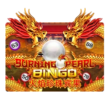 Burning Pearl Bingo - HASEAGAMING