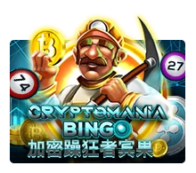 Crypto Mania Bingo - HASEAGAMING