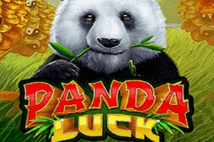 Playtech : Panda Luck - HASEAGAMING